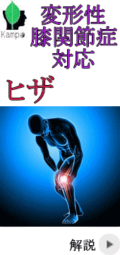 変形性膝関節症